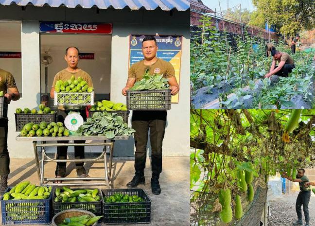 សហគមន៍នេសាទបន្ទាយប្រិយ៍ ការដ្ឋានកងរាជអាវុធហត្ថស្រុកព្រៃនប់ ដំណាំភូមិយើង ជាបន្លែសុវត្ថិភាពគ្មានសារធាតុគីមី