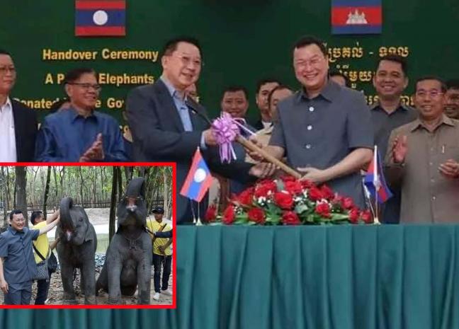 ពិធីប្រគល់-ទទួល សត្វដំរី មួយគូ ដែលជាអំណោយរបស់រដ្ឋាភិបាលឡាវ ជូនមកកម្ពុជា